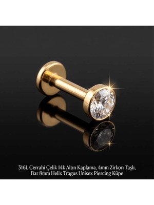 Begonia Accessories 316L Cerrahi Çelik Altın Kaplama Kararmaz Alerji Yapmaz Zirkon Taş Figür Unisex Tragus Helix Küpe PIERCING-178-13