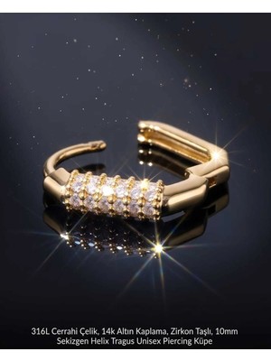 Begonia Accessories 316L Cerrahi Çelik Altın Kaplama Kararmaz Alerji Yapmaz Zirkon Taş Figür Unisex Tragus Helix Küpe PIERCING-178-30