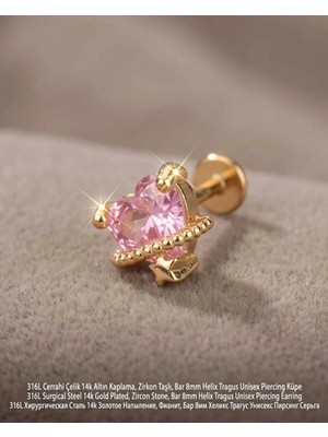 Begonia Accessories 316L Cerrahi Çelik Altın Kaplama Kararmaz Alerji Yapmaz Zirkon Taş Figür Unisex Tragus Helix Küpe PIERCING-178-12