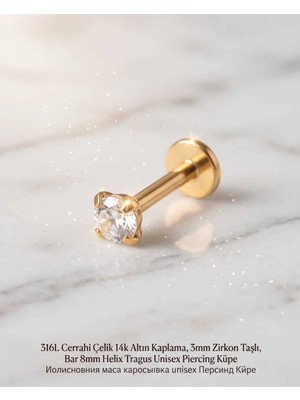 Begonia Accessories 316L Cerrahi Çelik Altın Kaplama Kararmaz Alerji Yapmaz Zirkon Taş Figür Unisex Tragus Helix Küpe PIERCING-178-7