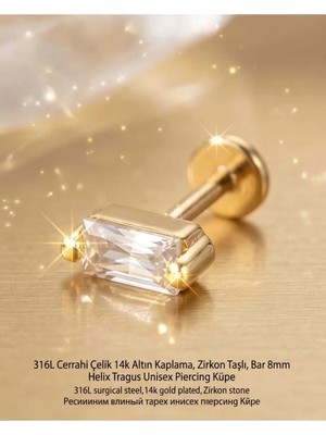 Begonia Accessories 316L Cerrahi Çelik Altın Kaplama Kararmaz Alerji Yapmaz Zirkon Taş Figür Unisex Tragus Helix Küpe PIERCING-178-5