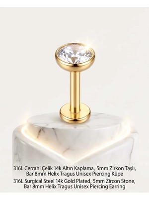 Begonia Accessories 316L Cerrahi Çelik Altın Kaplama Kararmaz Alerji Yapmaz Zirkon Taş Figür Unisex Tragus Helix Küpe PIERCING-178-18