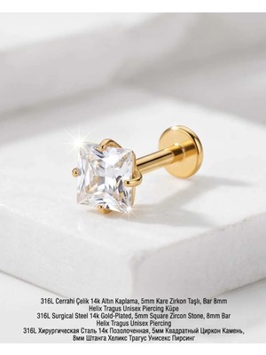 Begonia Accessories 316L Cerrahi Çelik Altın Kaplama Kararmaz Alerji Yapmaz Zirkon Taş Figür Unisex Tragus Helix Küpe PIERCING-178-1