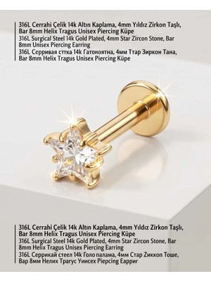 Begonia Accessories 316L Cerrahi Çelik Altın Kaplama Kararmaz Alerji Yapmaz Zirkon Taş Figür Unisex Tragus Helix Küpe PIERCING-178-8