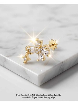 Begonia Accessories 316L Cerrahi Çelik Altın Kaplama Kararmaz Alerji Yapmaz Zirkon Taş Figür Unisex Tragus Helix Küpe PIERCING-178-27