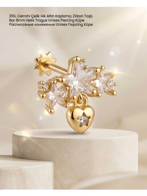Begonia Accessories 316L Cerrahi Çelik Altın Kaplama Kararmaz Alerji Yapmaz Zirkon Taş Figür Unisex Tragus Helix Küpe PIERCING-178-14
