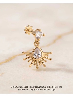 Begonia Accessories 316L Cerrahi Çelik Altın Kaplama Kararmaz Alerji Yapmaz Zirkon Taş Figür Unisex Tragus Helix Küpe PIERCING-178-19
