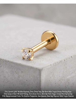 Begonia Accessories 316L Cerrahi Çelik Altın Kaplama Kararmaz Alerji Yapmaz Zirkon Taş Figür Unisex Tragus Helix Küpe PIERCING-178-23