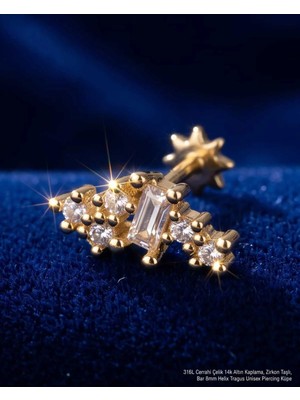 Begonia Accessories 316L Cerrahi Çelik Altın Kaplama Kararmaz Alerji Yapmaz Zirkon Taş Figür Unisex Tragus Helix Küpe PIERCING-178-20