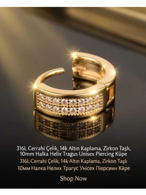 Begonia Accessories 316L Cerrahi Çelik Altın Kaplama Kararmaz Alerji Yapmaz Zirkon Taş Figür Unisex Tragus Helix Küpe PIERCING-178-2