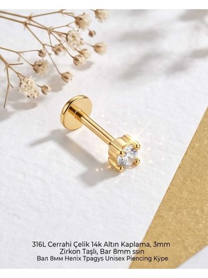 Begonia Accessories 316L Cerrahi Çelik Altın Kaplama Kararmaz Alerji Yapmaz Zirkon Taş Figür Unisex Tragus Helix Küpe PIERCING-178-11