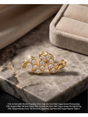 Begonia Accessories 316L Cerrahi Çelik Altın Kaplama Kararmaz Alerji Yapmaz Zirkon Taş Figür Unisex Tragus Helix Küpe PIERCING-178-17