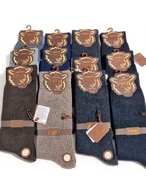 Pro Boutique Style Uludağ Lambswool (Yün) Erkek Çorap; Asorti 12'li Paket; Dikişsiz