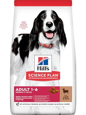 's Science Plan Yetişkin Orta Irk Kuzulu ve Pirinçli Köpek Maması 12 + 2 kg