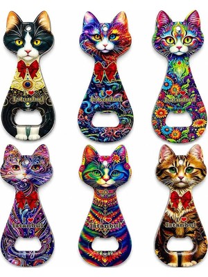 Evimdeyokyok Kedi Tasarımı Istanbul Temalı Buzdolapı Süsü Magnet ALK5408