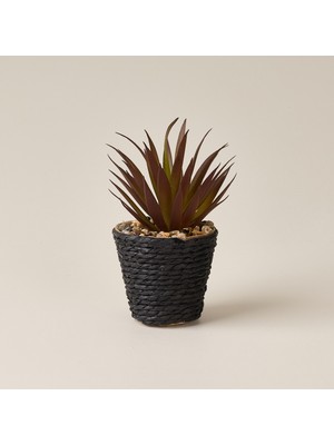 Evidea Deco Saksılı Yapay Sukulent - Turuncu - Bej / Turuncu - 15X9 cm