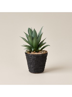 Evidea Deco Saksılı Yapay Sukulent - Bej / Yeşil - 15X9 cm