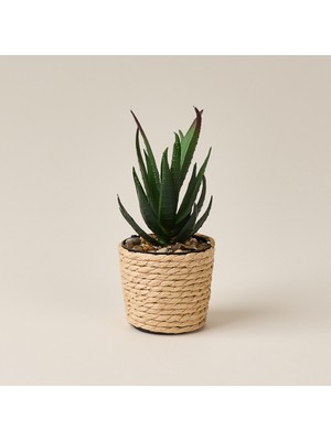 Evidea Deco Hasır Saksı Yapay Aloe Vera - Bej / Yeşil - 14X6 cm