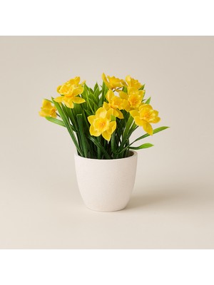 Evidea Deco Saksılı Nergis - Sarı - 20 cm