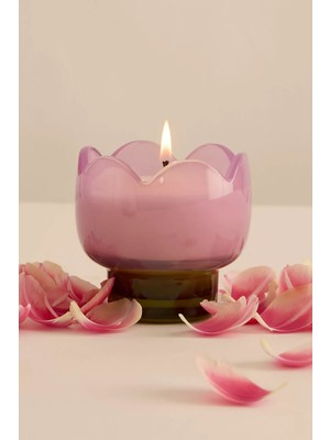 Anthropologie Paddywax Tulip Bronzed Gardenia Cam Mum 28 Saat Yanma