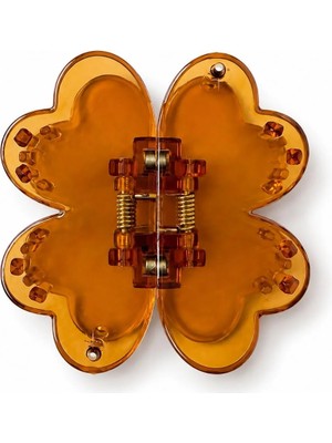 Venüs Design Çiçek Magnet 2li Toka