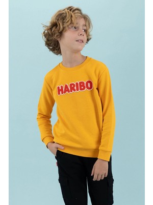 Haribo Erkek Çocuk Sweatshirt HRBTXT308-HRDL