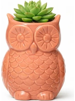 Vivense Mıknatıslı Mini Baykuş Saksı, Pembe