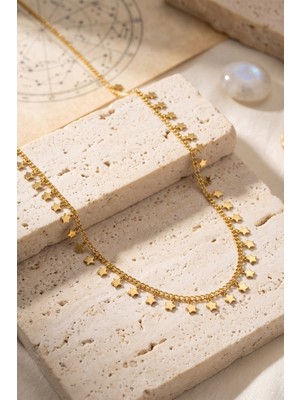 sbodurhome Gold Renk Yıldız Pul Model 60 cm Kadın Kolye
