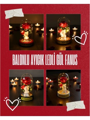 Balonlu Ayıcık Ledli Gül Fanus