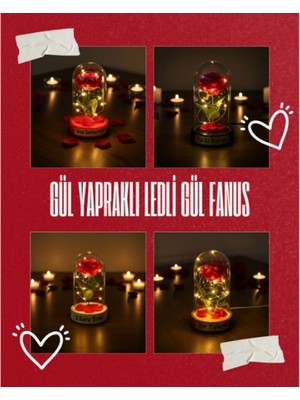 Gül Yapraklı Ledli Gül Fanus