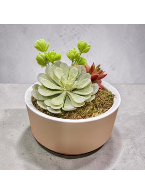 Sedosh Home Vision Yapay Sukulent Aranjmanı Orta Boy - Plastik Ayaklı Saksıda Dekoratif Yapay Çiçek (18X18 Cm)