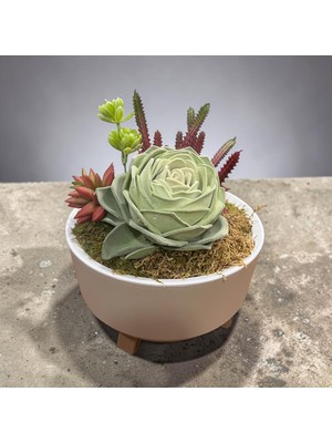 Sedosh Home Vision Yapay Sukulent Aranjmanı Büyük Boy - Plastik Ayaklı Saksıda Dekoratif Yapay Çiçek (25X25 Cm)