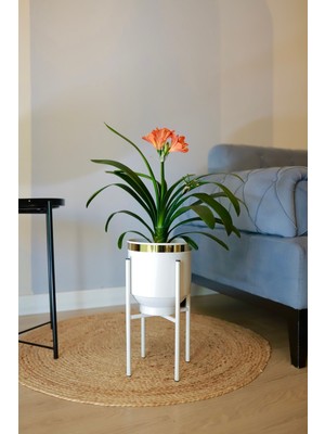 Empressco Metal Saksı Ayaklı Dekoratif Çiçeklik Vazo Beyaz Gold Detaylı Saksılık 41X21CM