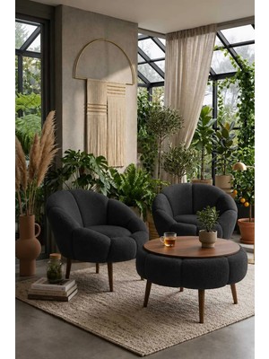 Dekozum Liva Comfort Koltuk Berjer Takımı Çay Seti Peluş Kumaş 3 Lü Set 2 Koltuk 1 Sehpa Antrasit