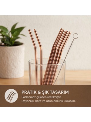 ForWhat Büro Ev Ofis Mutfağı Için Altılı Bronz Kaşıklı Pipet Temizleme Fırça Seti