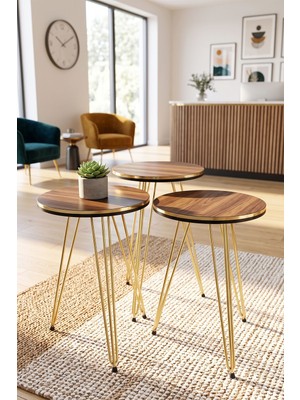 Kentex Gold Tel Zigon Ceviz Kahverengi 3'lü