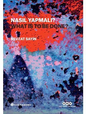 Brf Store Oreviosell Nasıl Yapmalı? / What Is To Be Done? (Türkçe - Ingilizce) (Ciltli)