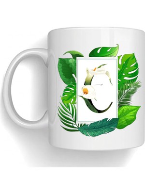 Bsb C Harfi Temalı Porselen Kupa Bardak Mug 203