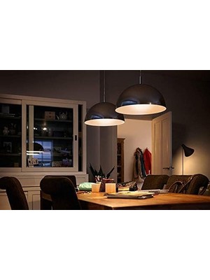 Sefa Ticaret LED CLASSIC120W G120 E27 Sarı Işık Glob Ww Dim Edilmez Ampul