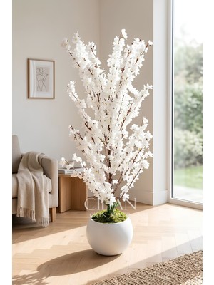 Cihan Çiçekçilik Yapay Beyaz Sakura Kiraz Çiçeği Ağacı 120 cm - Küre Plastik Saksılı 27X33 cm Saksı