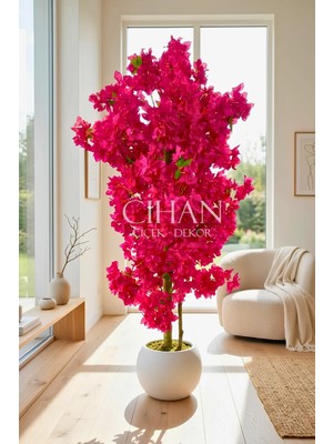 Cihan Çiçekçilik Fuşya Begonvil Yapay Ağaç 180 cm –30X30 Beyaz Plastik Küre Saksılı