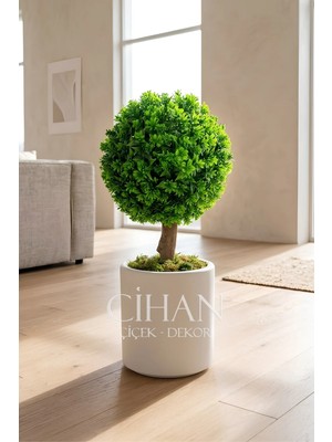 Cihan Çiçekçilik Yapay Top Şimşir Ağacı 70 cm (Uv Dayanıklı) - Beyaz 32X30 Silindir Saksı Şimşir Çapı 35 cm