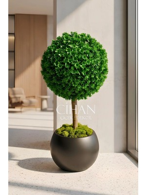 Cihan Çiçekçilik Yapay Uv Dayanımlı Şimşir Top Ağacı 100 cm (45 cm Çap) 27X33 cm Küre Saksılı