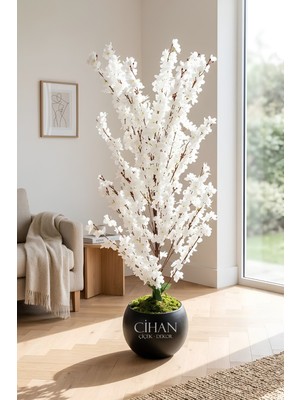 Cihan Çiçekçilik Yapay Beyaz Sakura Kiraz Çiçeği Ağacı 120 cm - Küre Plastik Saksılı 27X33 cm Saksı