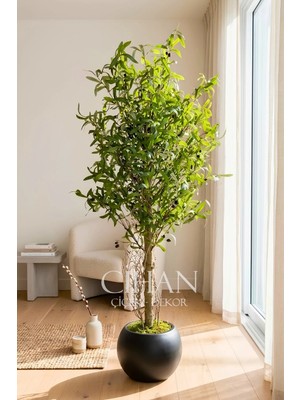 Cihan Çiçekçilik 180 cm Lüks Yapay Zeytin Ağacı - 27X33 cm Plastik Küre Saksı