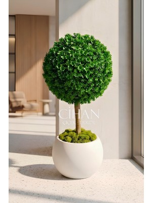 Cihan Çiçekçilik Yapay Uv Dayanımlı Şimşir Top Ağacı 100 cm (45 cm Çap) 27X33 cm Küre Saksılı