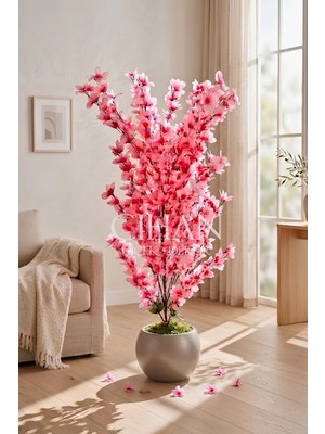 Cihan Çiçekçilik Yapay Pembe Sakura Kiraz Çiçeği Ağacı 120 cm - Küre Plastik Saksılı 27X33 cm Saksı