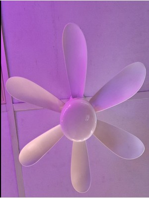 Lightech Yıldız Fan LED Ampul 16W (110W) E27 Kumandalı 3 Cct (3000K-4000K-6500K)