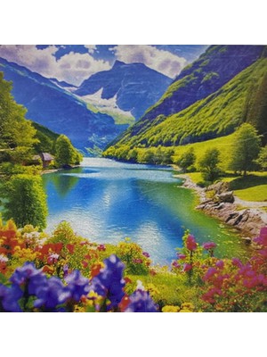 Elegantshop 5d Yapışan Boncuk Mozaik Tablo 40*50 cm S2