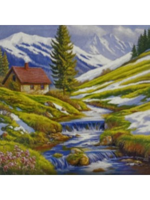 Elegantshop 5d Yapışan Boncuk Mozaik Tablo 40*50 cm S4